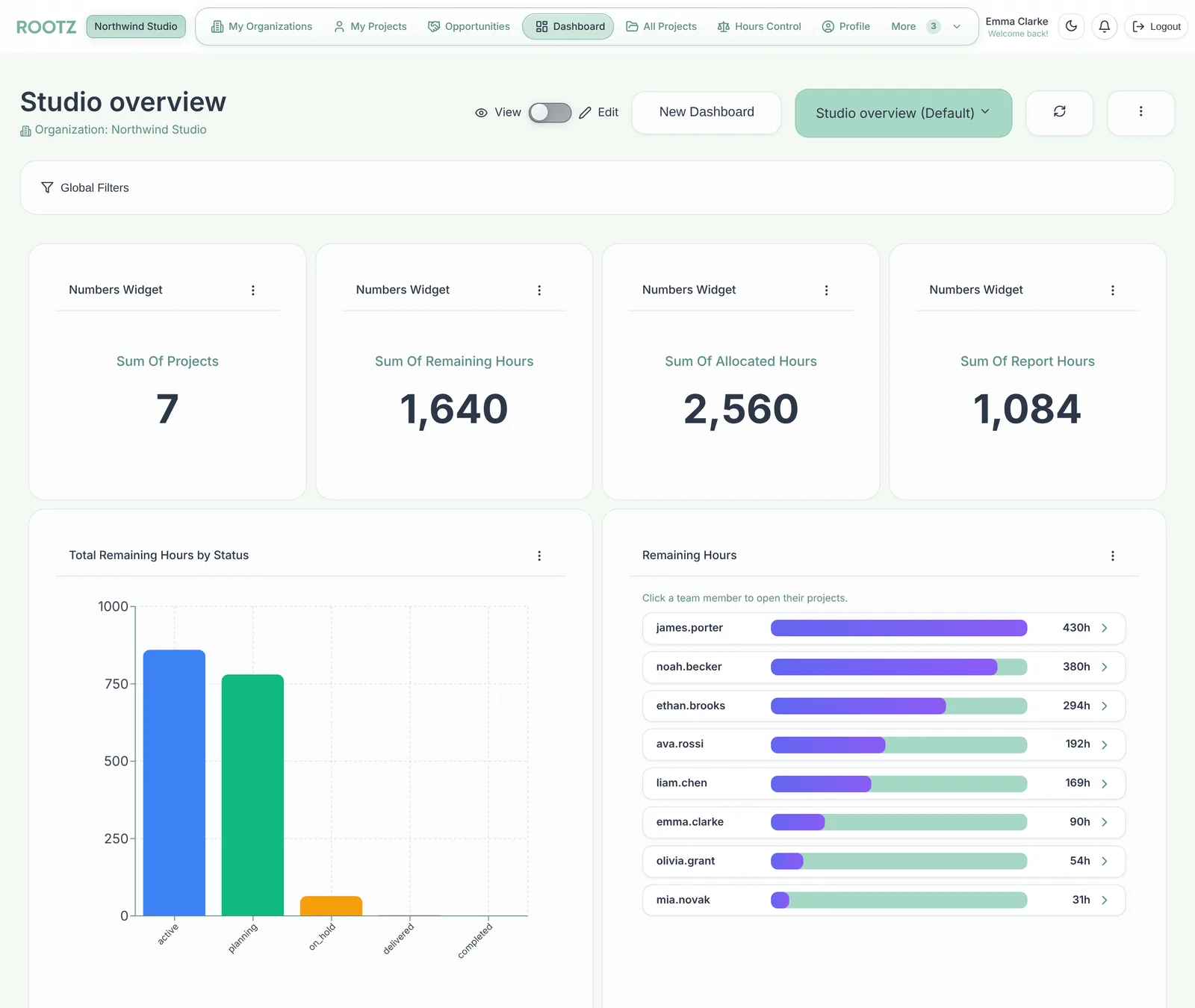 Custom dashboard with KPI numbers, charts and remaining hours per person